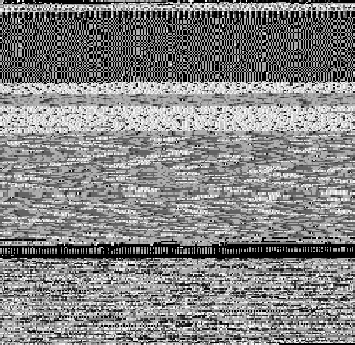 0a32c12706d84aa0485f1c9fd823b350a0aac4e07c7488598195734834790fa2.png