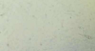 Negatif 45.jpg