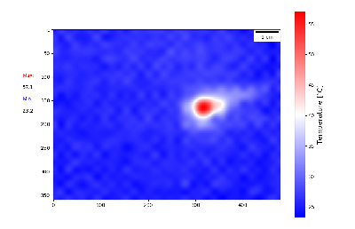 data_1-17.png